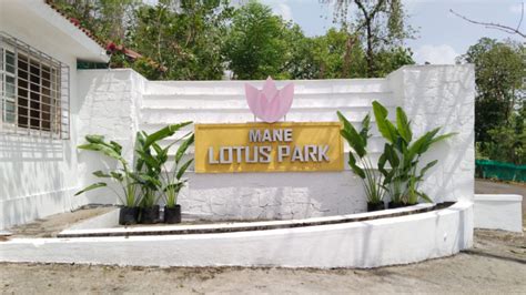 mane lotus park|Mane Developers.